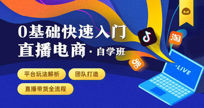 0基础快速入门直播电商课程：直播平台玩法解析-团队打造-带货全流程等环节-启程资源站