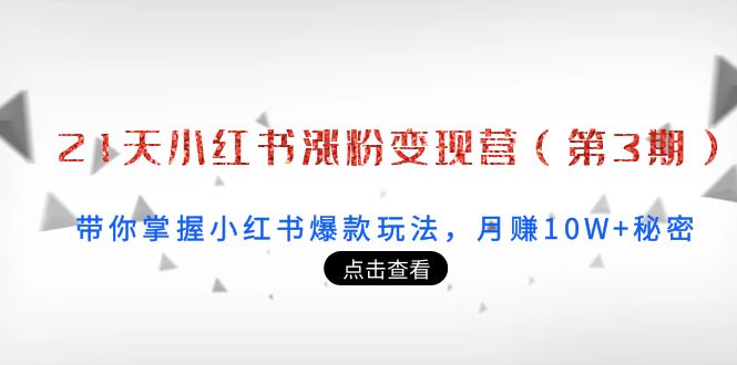 21天小红书涨粉变现营（第3期）：带你掌握小红书爆款玩法，月赚10W+秘密-启程资源站