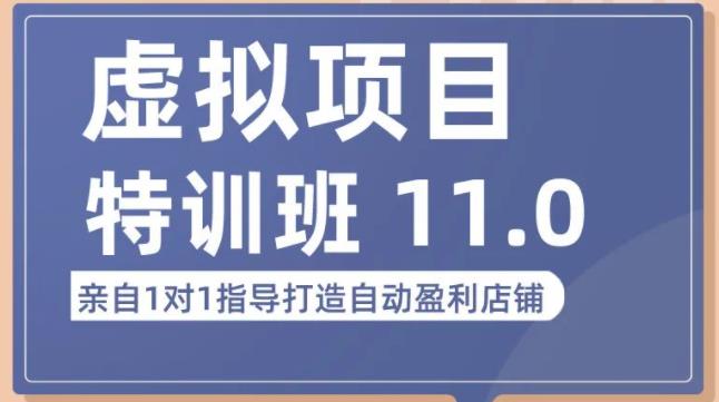 陆明明·虚拟项目特训班（10.0+11.0），0成本获取虚拟素材，0基础打造自动盈利店铺-启程资源站