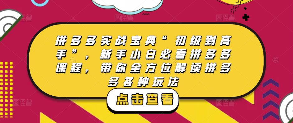 拼多多实战宝典“初级到高手”，新手小白必看拼多多课程，带你全方位解读拼多多各种玩法-启程资源站