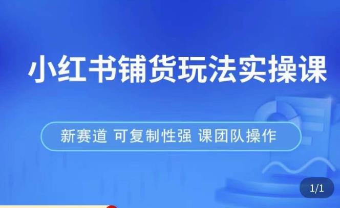 小红书铺货玩法实操课，流量大，竞争小，非常好做，新赛道，可复制性强，可团队操作-启程资源站