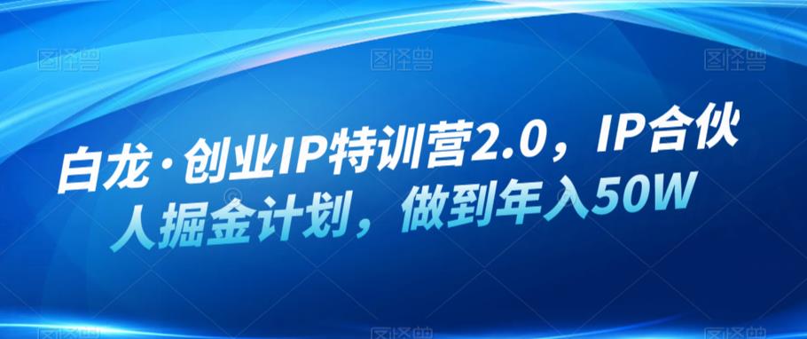 白龙·创业IP特训营2.0，IP合伙人掘金计划，做到年入50W-启程资源站