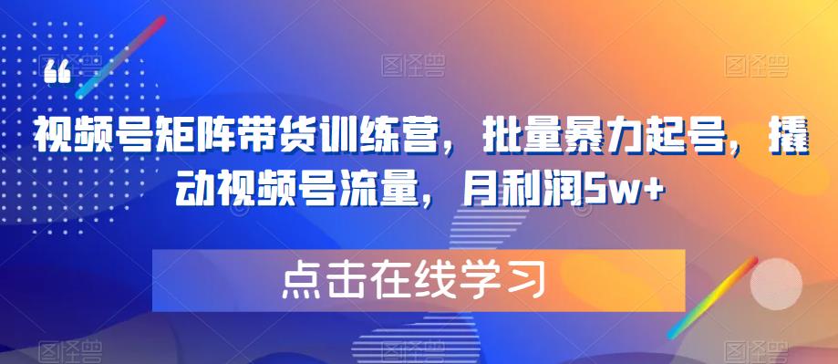 视频号矩阵带货训练营，批量暴力起号，撬动视频号流量，月利润5w+-启程资源站