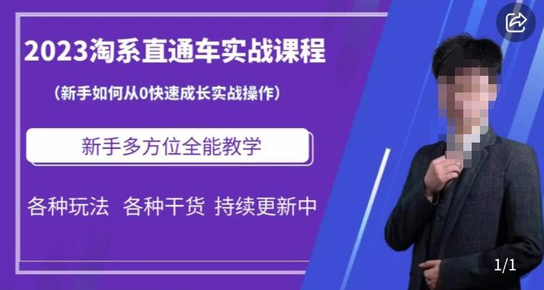 2023淘系直通车保姆式运营讲解，新手如何从0快速成长实战操作，新手多方位全能教学-启程资源站