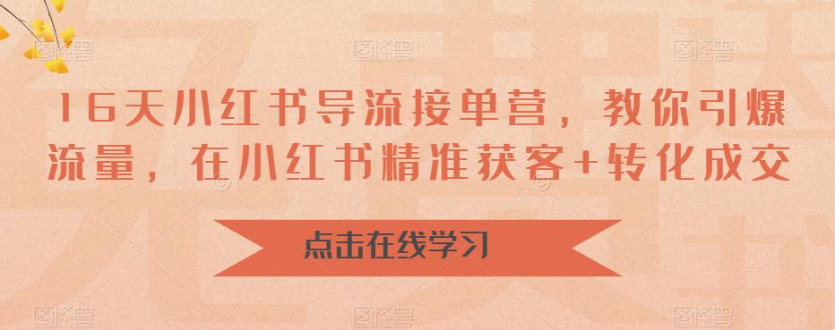 16天小红书导流接单营，教你引爆流量，在小红书精准获客+转化成交-启程资源站