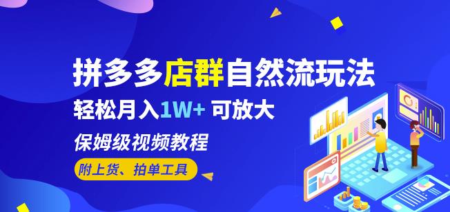 拼多多店群自然流玩法，轻松月入1W+保姆级视频教程（附上货、拍单工具）-启程资源站