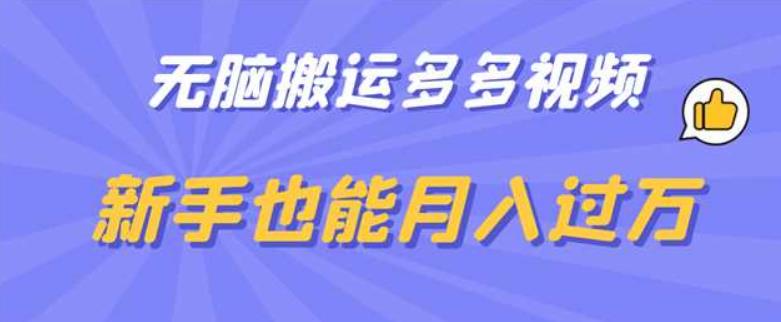 无脑搬运多多视频，新手也能月入过万【揭秘】-启程资源站