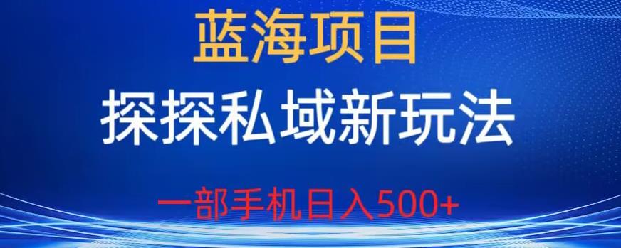 蓝海项目，探探私域新玩法，一部手机日入500+很轻松【揭秘】-启程资源站