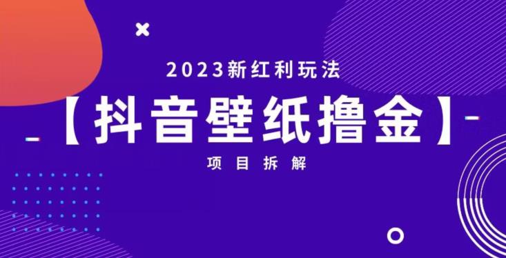 抖音壁纸小程序创作者撸金项目，2023新红利玩法【项目拆解】-启程资源站