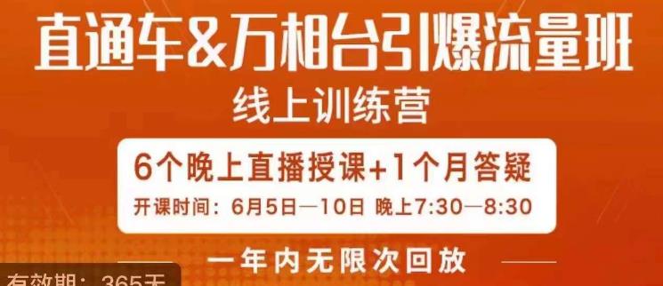 直通车&万相台引爆流量班，6天打通你开直通车·万相台的任督二脉-启程资源站