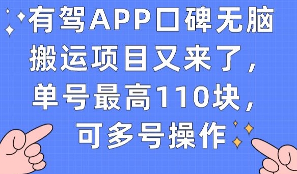 有驾APP口碑无脑搬运项目又来了，单号最高110块，可多号操作-启程资源站