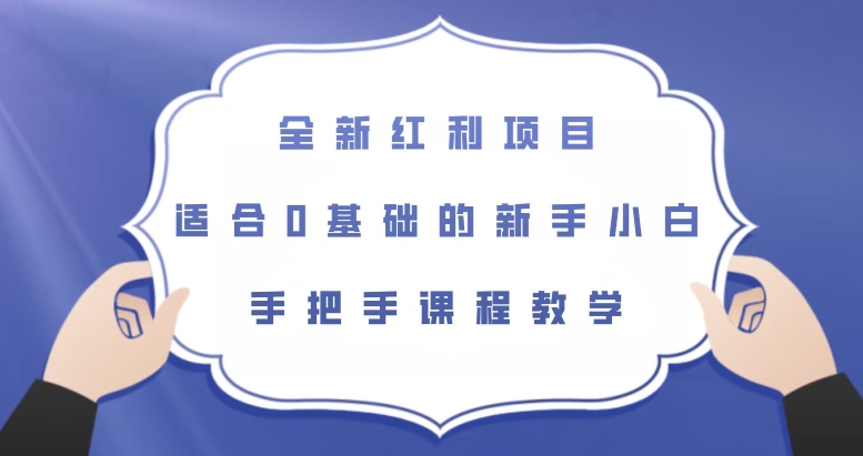 全新红利项目，适合0基础的新手小白，手把手课程教学【揭秘】-启程资源站