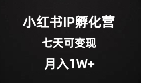 价值2000+的小红书IP孵化营项目，超级大蓝海，七天即可开始变现，稳定月入1W+-启程资源站