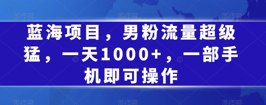 蓝海项目，男粉流量超级猛，一天1000+，一部手机即可操作【揭秘】-启程资源站