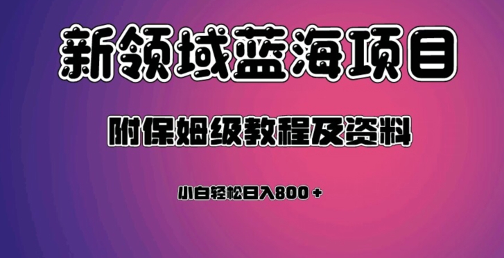 虚拟资源蓝海领域新项目，轻松日入800＋，附保姆级教程及资料-启程资源站