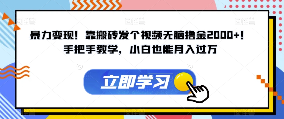 暴力变现！靠搬砖发个视频无脑撸金2000+！手把手教学，小白也能月入过万【揭秘】-启程资源站