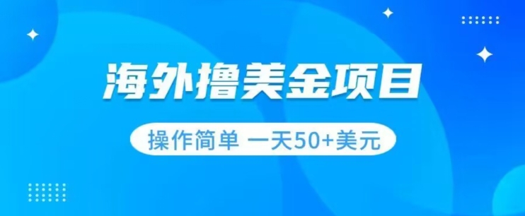 撸美金项目无门槛操作简单小白一天50+美刀-启程资源站