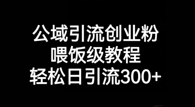 公域引流创业粉，喂饭级教程，轻松日引流300+【揭秘】-启程资源站