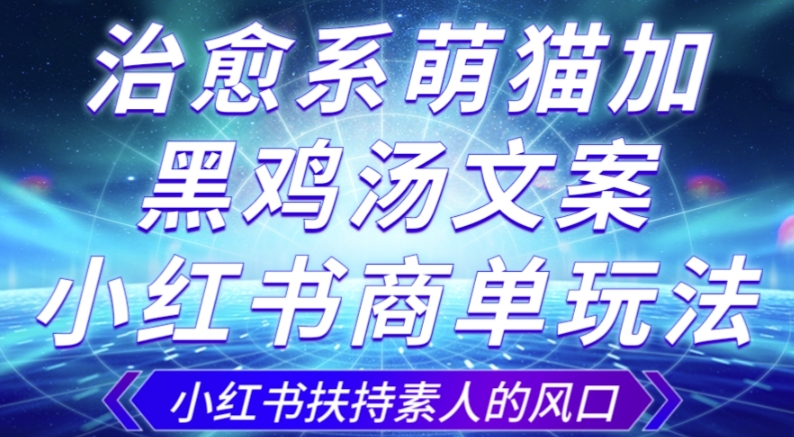 治愈系萌猫加+黑鸡汤文案，小红书商单玩法，3~10天涨到1000粉，一单200左右-启程资源站