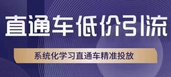 直通车低价引流课，系统化学习直通车精准投放-启程资源站