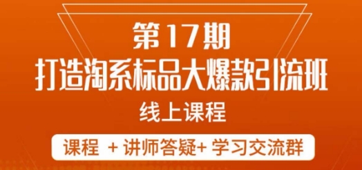 南掌柜-第17期打造淘系标品大爆款，5天线上课-启程资源站