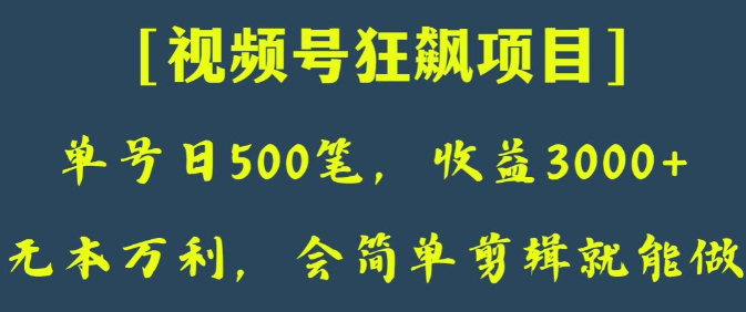 日收款500笔，纯利润3000+，视频号狂飙项目，会简单剪辑就能做【揭秘】-启程资源站