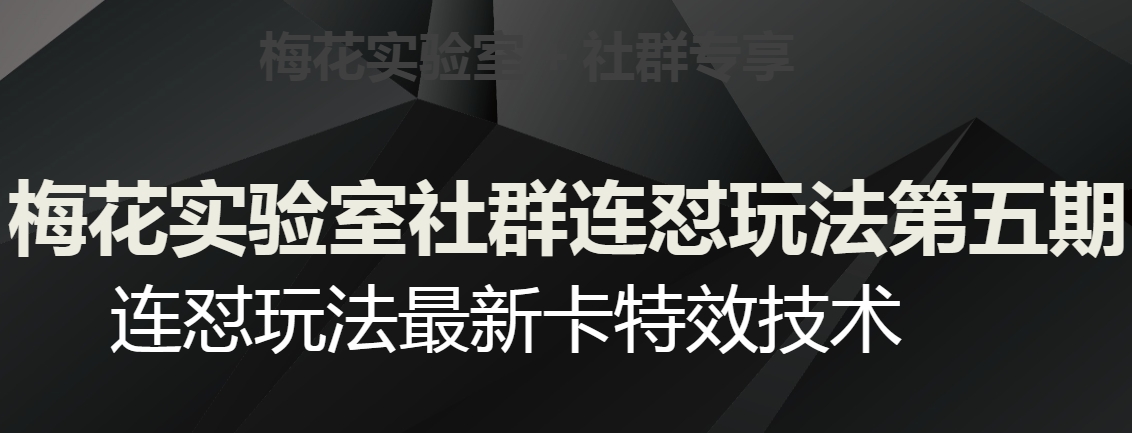 梅花实验室社群连怼玩法第五期，视频号连怼玩法最新卡特效技术-启程资源站