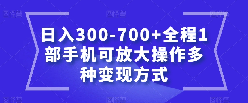 日入300-700+全程1部手机可放大操作多种变现方式【揭秘】-启程资源站