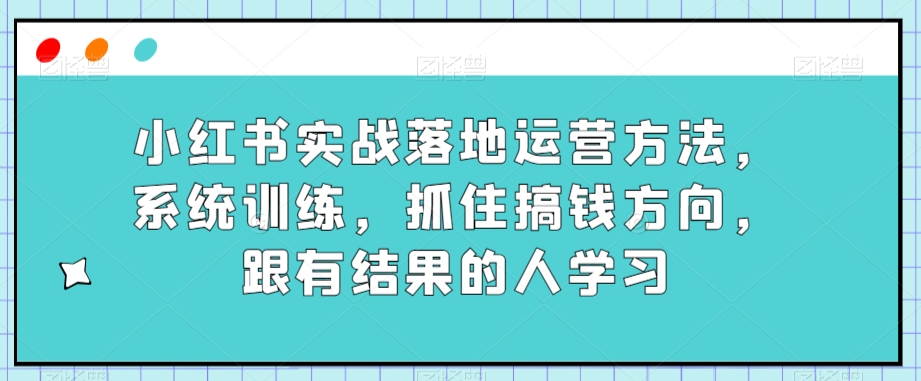 小红书实战落地运营方法，系统训练，抓住搞钱方向，跟有结果的人学习-启程资源站