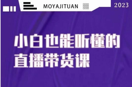 大威本威·能听懂的直播带货课，小白也能听懂，20节完整-启程资源站