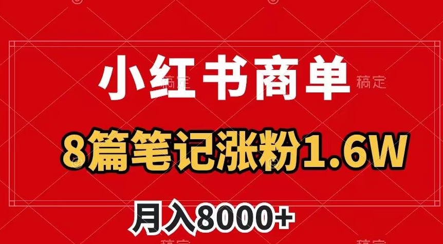 小红书商单最新玩法，8篇笔记涨粉1.6w，作品制作简单，月入8000+【揭秘】-启程资源站