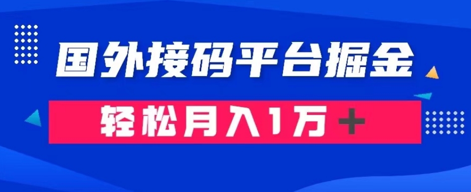 通过国外接码平台掘金：成本1.3，利润10＋，轻松月入1万＋【揭秘】-启程资源站