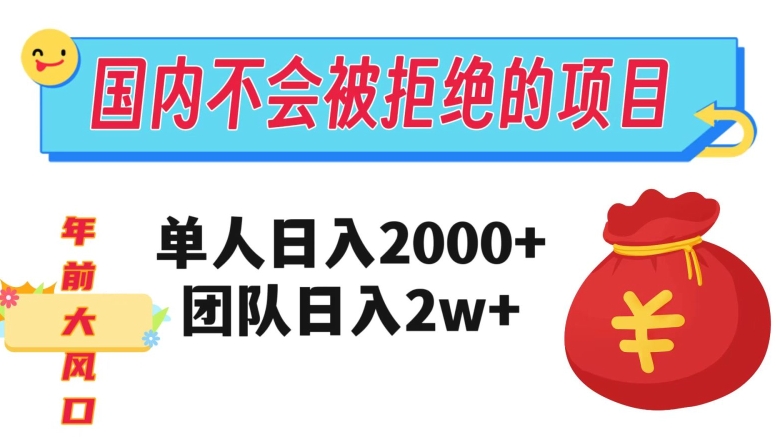 在国内不怕被拒绝的项目，单人日入2000，团队日入20000+【揭秘】-启程资源站