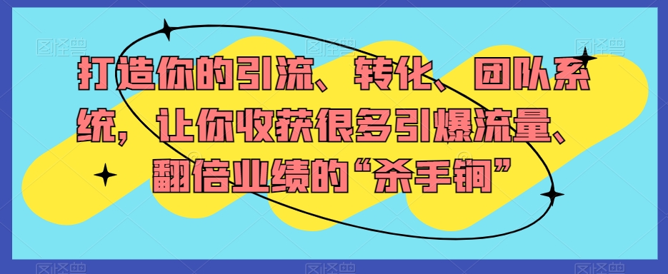 打造你的引流、转化、团队系统，让你收获很多引爆流量、翻倍业绩的“杀手锏”-启程资源站