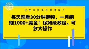 每天观看30分钟视频，一月躺赚1000+美金！保姆级教程，可放大操作【揭秘】-启程资源站