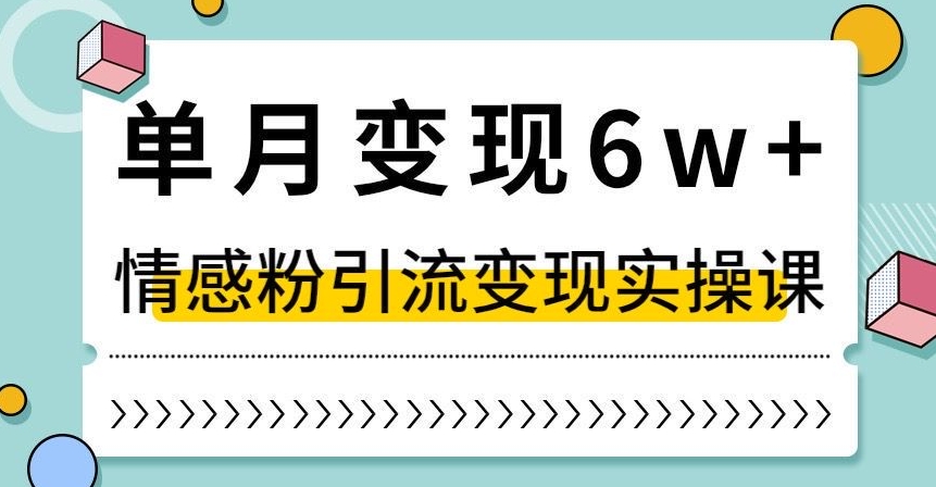 单月变现6W+，抖音情感粉引流变现实操课，小白可做，轻松上手，独家赛道【揭秘】-启程资源站