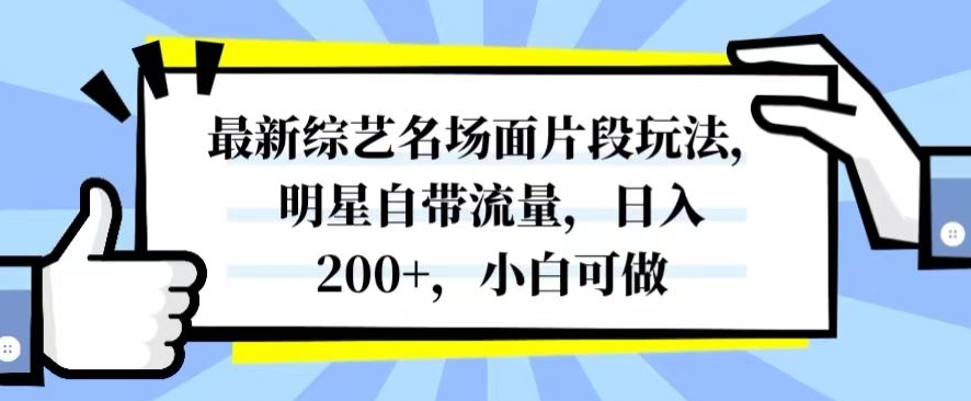 最新综艺名场面片段玩法，明星自带流量，日入200+，小白可做【揭秘】-启程资源站