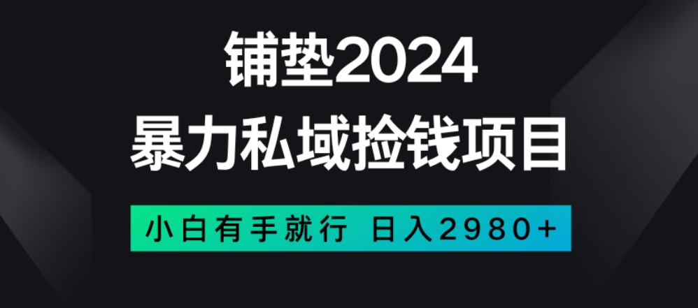 暴力私域捡钱项目，小白无脑操作，日入2980【揭秘】-启程资源站