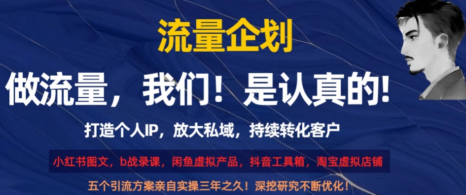 流量企划，打造个人IP，放大私域，持续转化客户【揭秘】-启程资源站