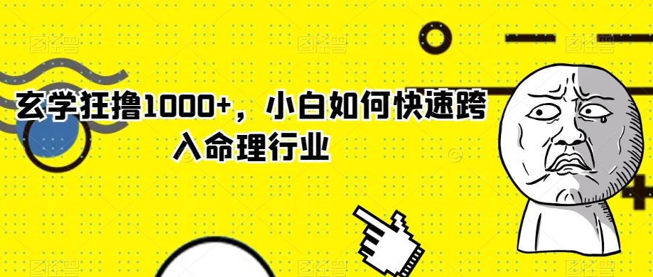 玄学狂撸1000+，小白如何快速跨入命理行业【揭秘】-启程资源站