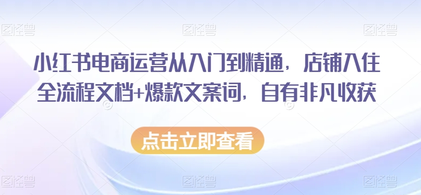 小红书电商运营从入门到精通，店铺入住全流程文档+爆款文案词，自有非凡收获-启程资源站