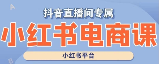 小红书电商高级运营课程，实操教学+案例分析-启程资源站