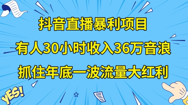 抖音直播暴利项目，有人30小时收入36万音浪，公司宣传片年会视频制作，抓住年底一波流量大红利【揭秘】-启程资源站