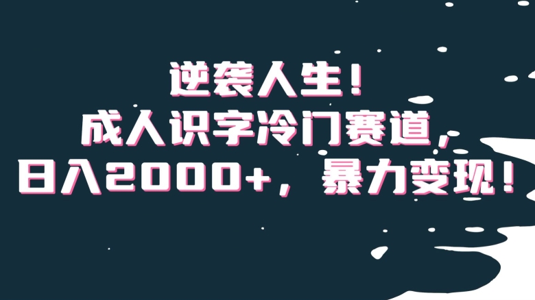 逆袭人生！成人识字冷门赛道，日入2000+，暴力变现！【揭秘】-启程资源站