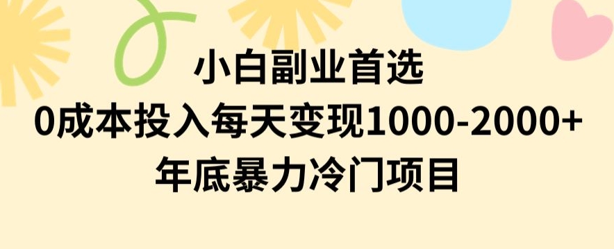 小白副业首选，0成本投入，每天变现1000-2000年底暴力冷门项目【揭秘】-启程资源站