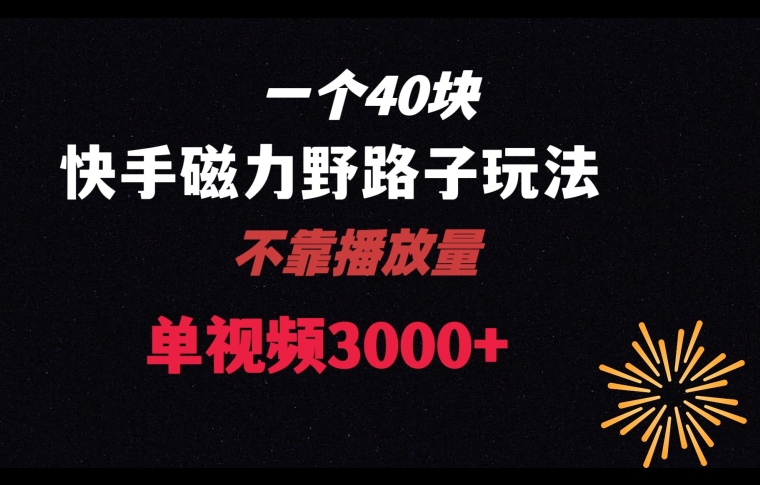 一个40块，快手联合美团磁力新玩法，无视机制野路子玩法，单视频收益4位数【揭秘】-启程资源站