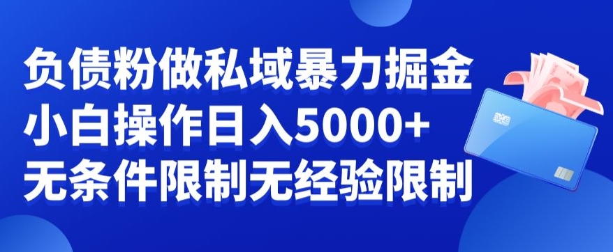 负债粉私域暴力掘金，小白操作入5000，无经验限制，无条件限制【揭秘】-启程资源站