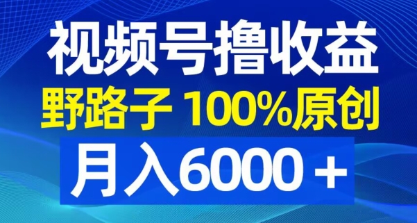 视频号野路子撸收益，100%原创，条条爆款，月入6000＋【揭秘】-启程资源站