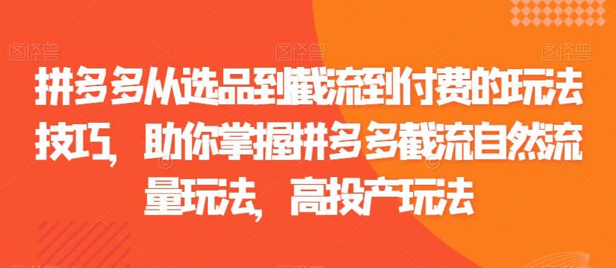 拼多多从选品到截流到付费的玩法技巧，助你掌握拼多多截流自然流量玩法，高投产玩法-启程资源站