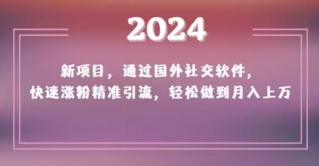 2024新项目，通过国外社交软件，快速涨粉精准引流，轻松做到月入上万【揭秘】-启程资源站